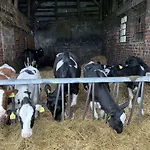 Gasthuis Wittgensteiner Schweiz