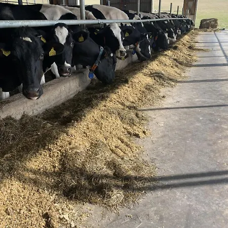 Casa de hóspedes Wittgensteiner Schweiz 3*