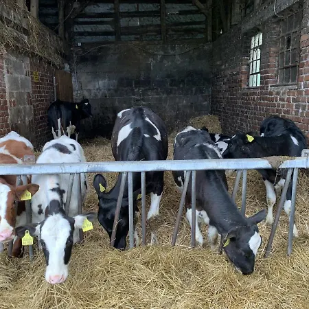 Wittgensteiner Schweiz 3* Bad Berleburg