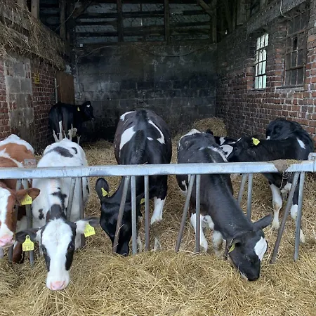 Casa de hóspedes Wittgensteiner Schweiz