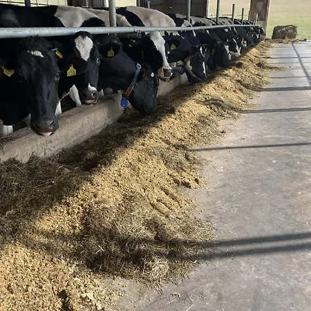 Casa de hóspedes Wittgensteiner Schweiz Bad Berleburg