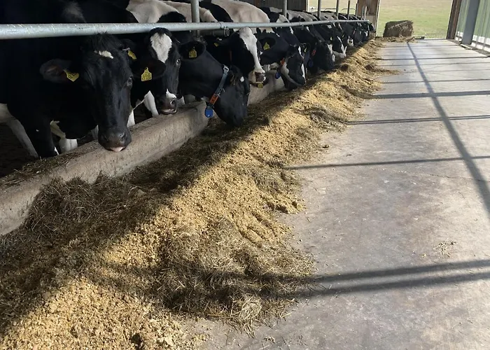 بيت ضيافة Wittgensteiner Schweiz 3*