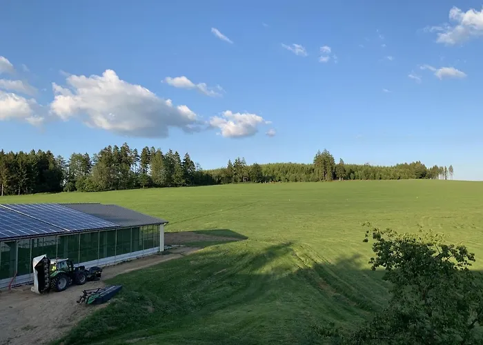 بيت ضيافة Wittgensteiner Schweiz 3*