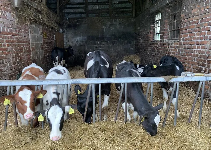 Wittgensteiner Schweiz 3* Bad Berleburg