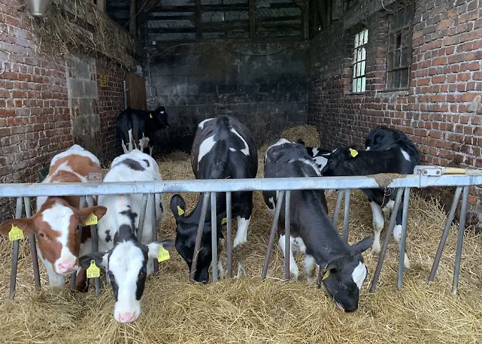 Penzion Wittgensteiner Schweiz