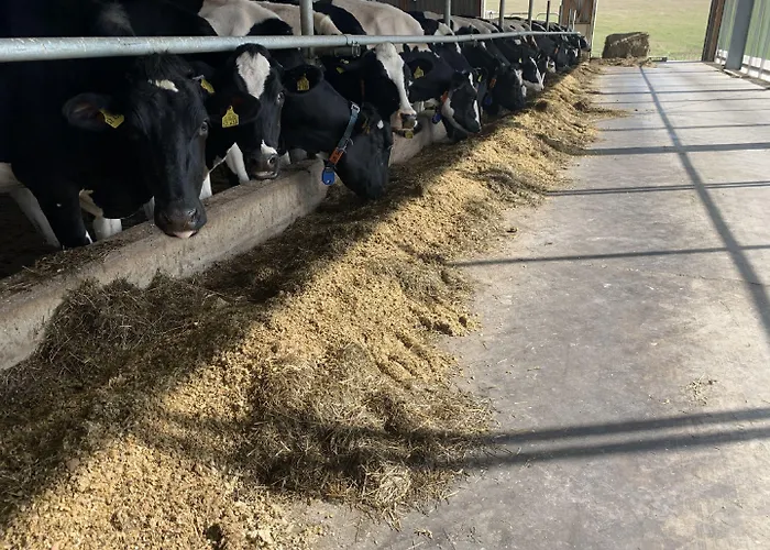 Vendégház Wittgensteiner Schweiz Bad Berleburg